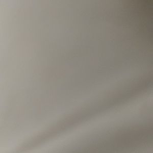 Meet your Posher, Charles